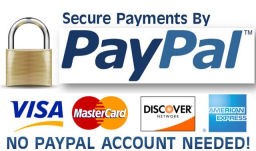 paypal_blog